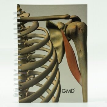 Cuaderno Huesos