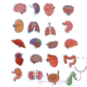 Stickers variados anatomía