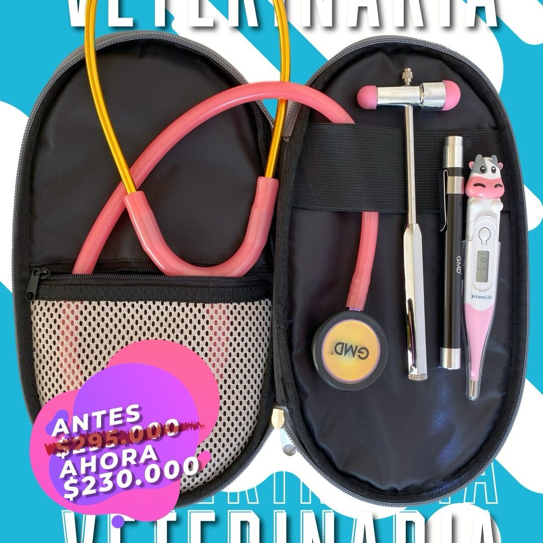 Kit Veterinaria 🩺🌡️🔦🔨