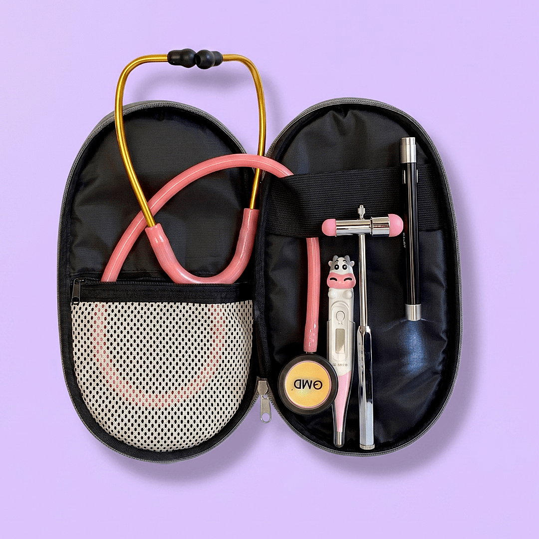Kit Veterinaria 🩺🌡️🔦🔨