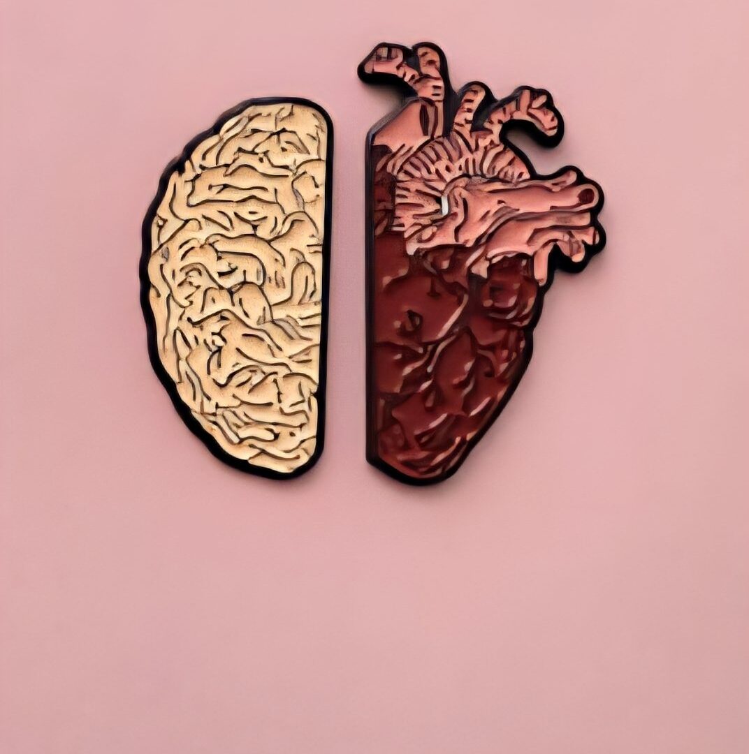 copia de broche anatomía corazón