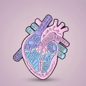 Broche Anatomía del Corazón 🫀