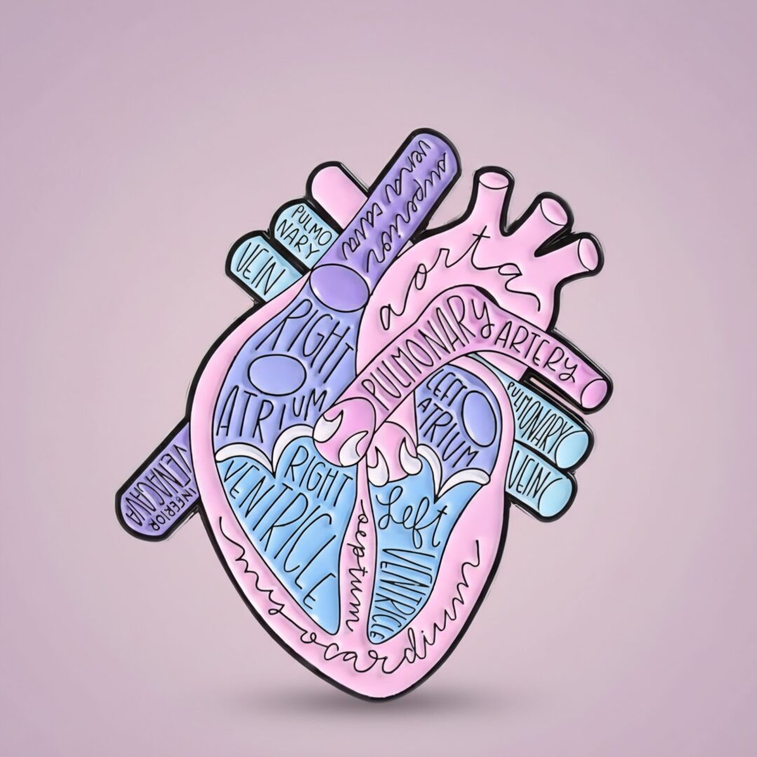 Broche Anatomía del Corazón 🫀