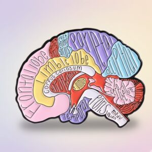 Broche Anatomía del Cerebro 🧠