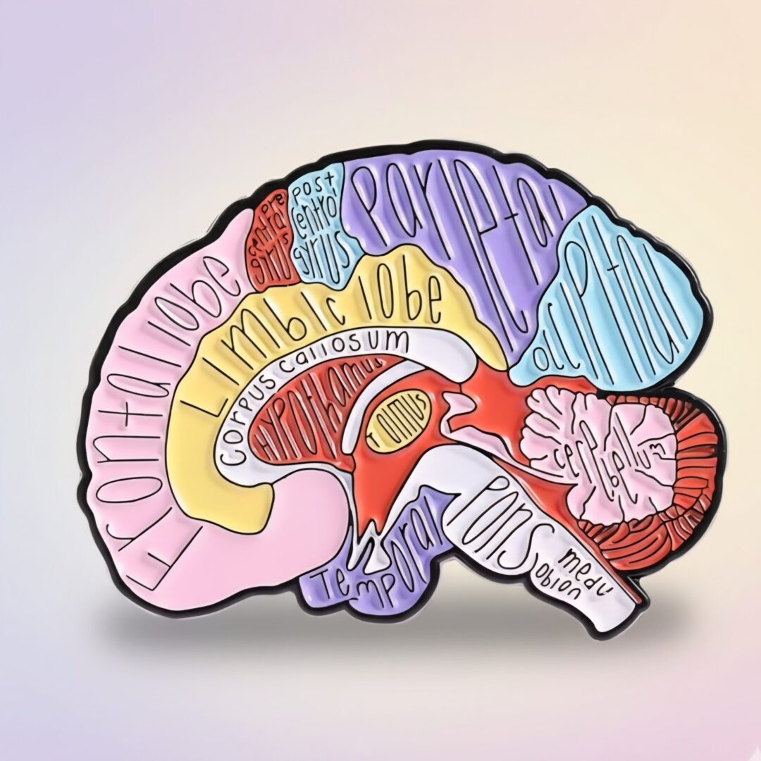 Broche Anatomía del Cerebro 🧠