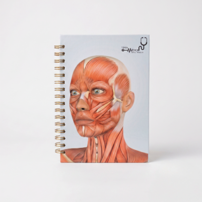 cuaderno anatomia rostro tmv