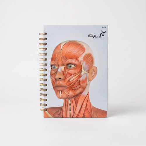 Cuaderno de Anatomía del Rostro TMV